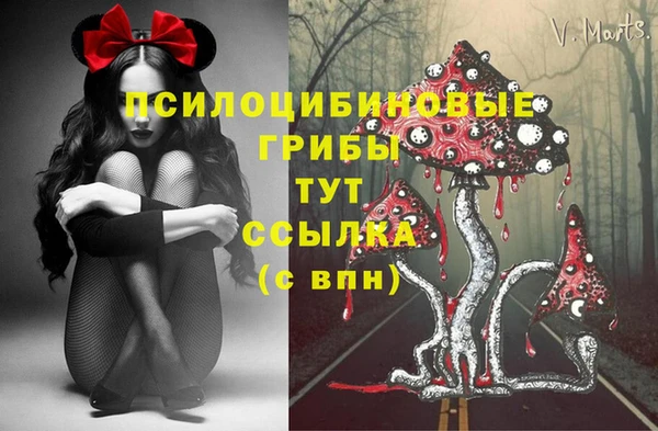 ECSTASY Белокуриха