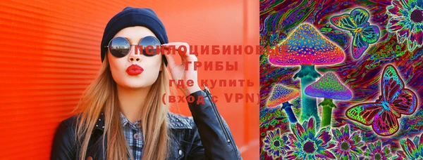 ECSTASY Белокуриха
