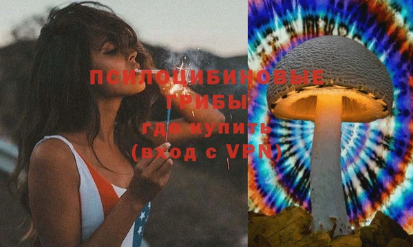 ECSTASY Белокуриха