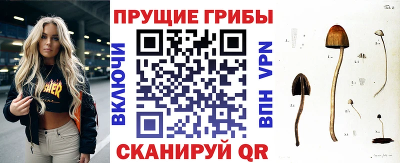 Галлюциногенные грибы мицелий  продажа наркотиков  Лакинск 